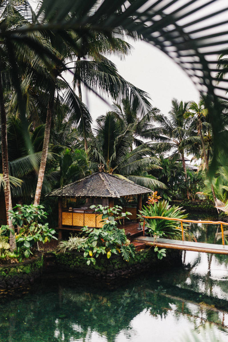 Bitcoin Climbs as Elon Musk Says Tesla ‘Likely’ to Accept it Again